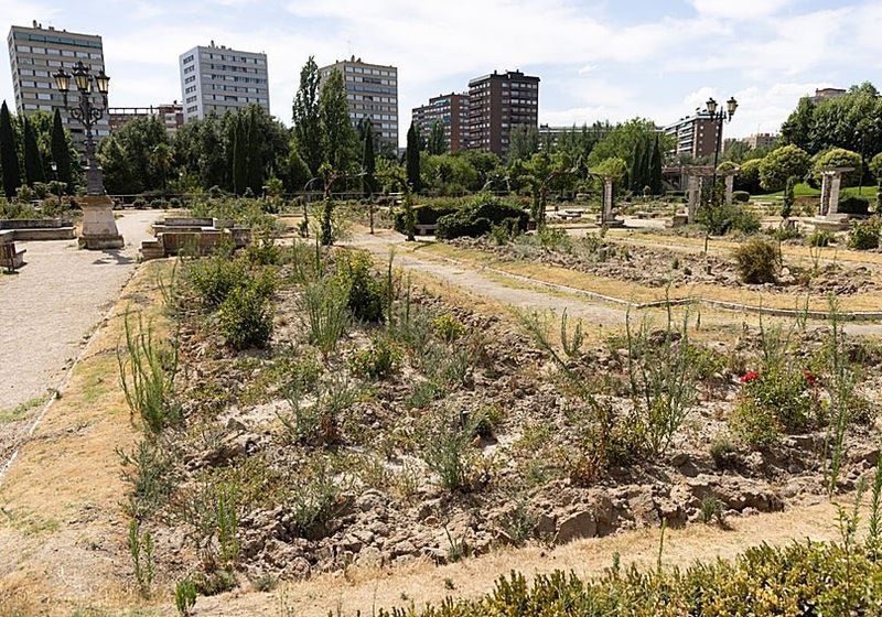 Vegetación crecida o descuidada