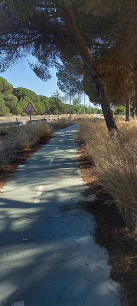 Incidencia ciclista